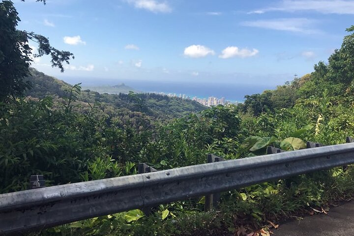 Easy Private Hike in Honolulu (Choose 1 of 2 trails) 2-4hrs  - Photo 1 of 2